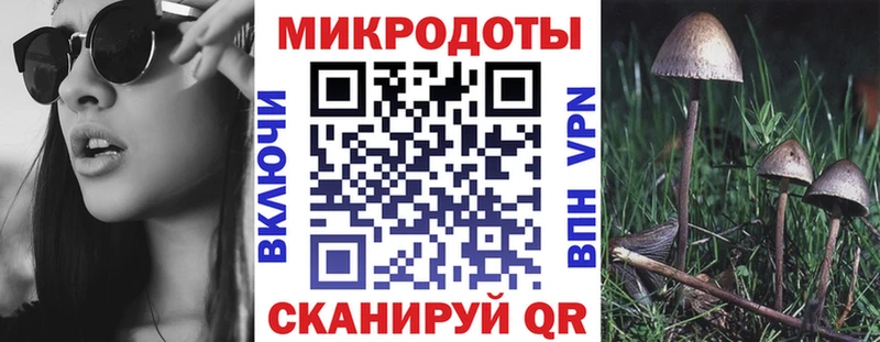 Псилоцибиновые грибы Magic Shrooms  Ядрин 