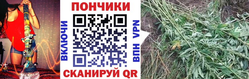 Шишки марихуана SATIVA & INDICA  сколько стоит  Ядрин 